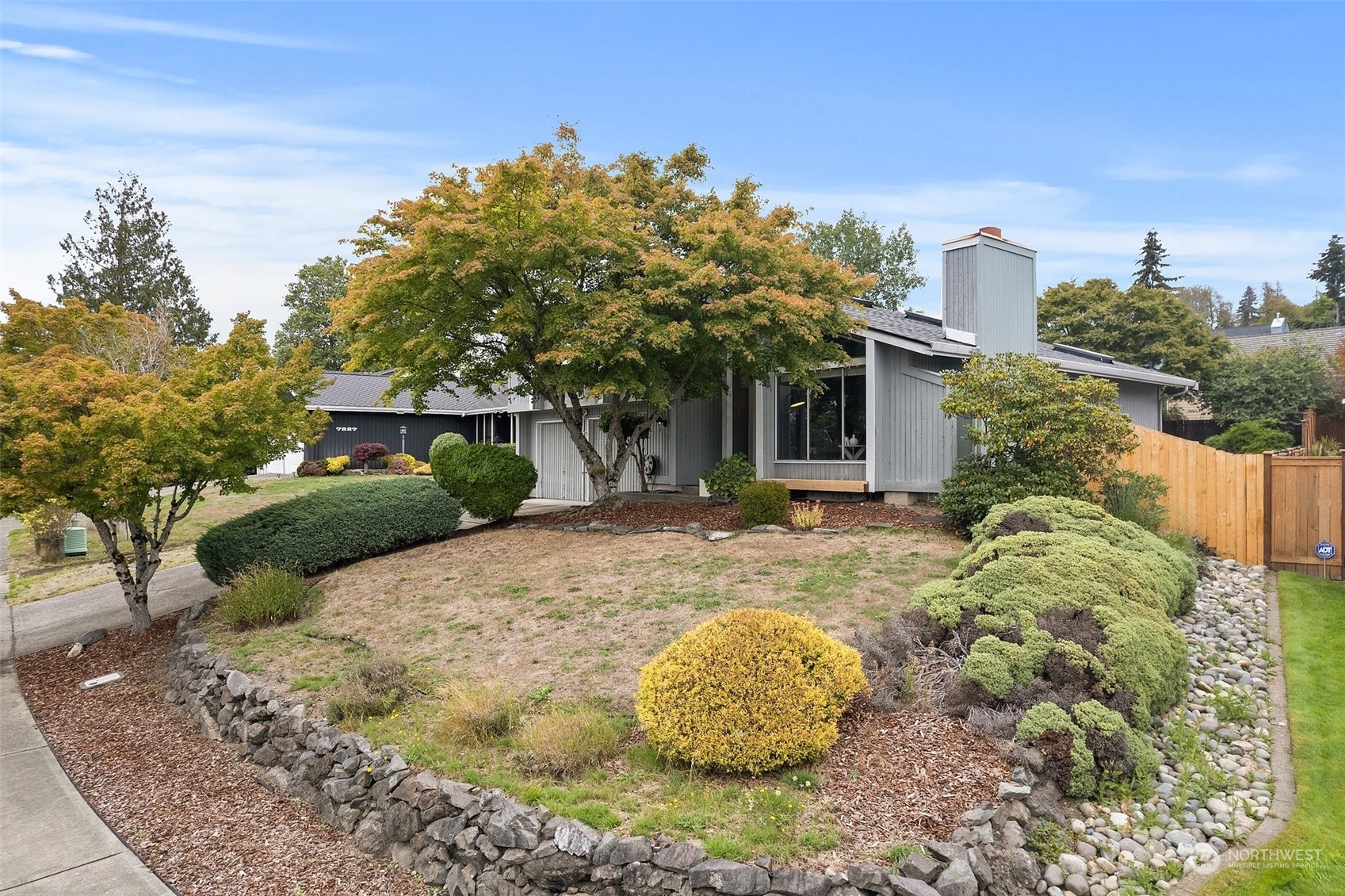 a view of a house with a yard and tree s