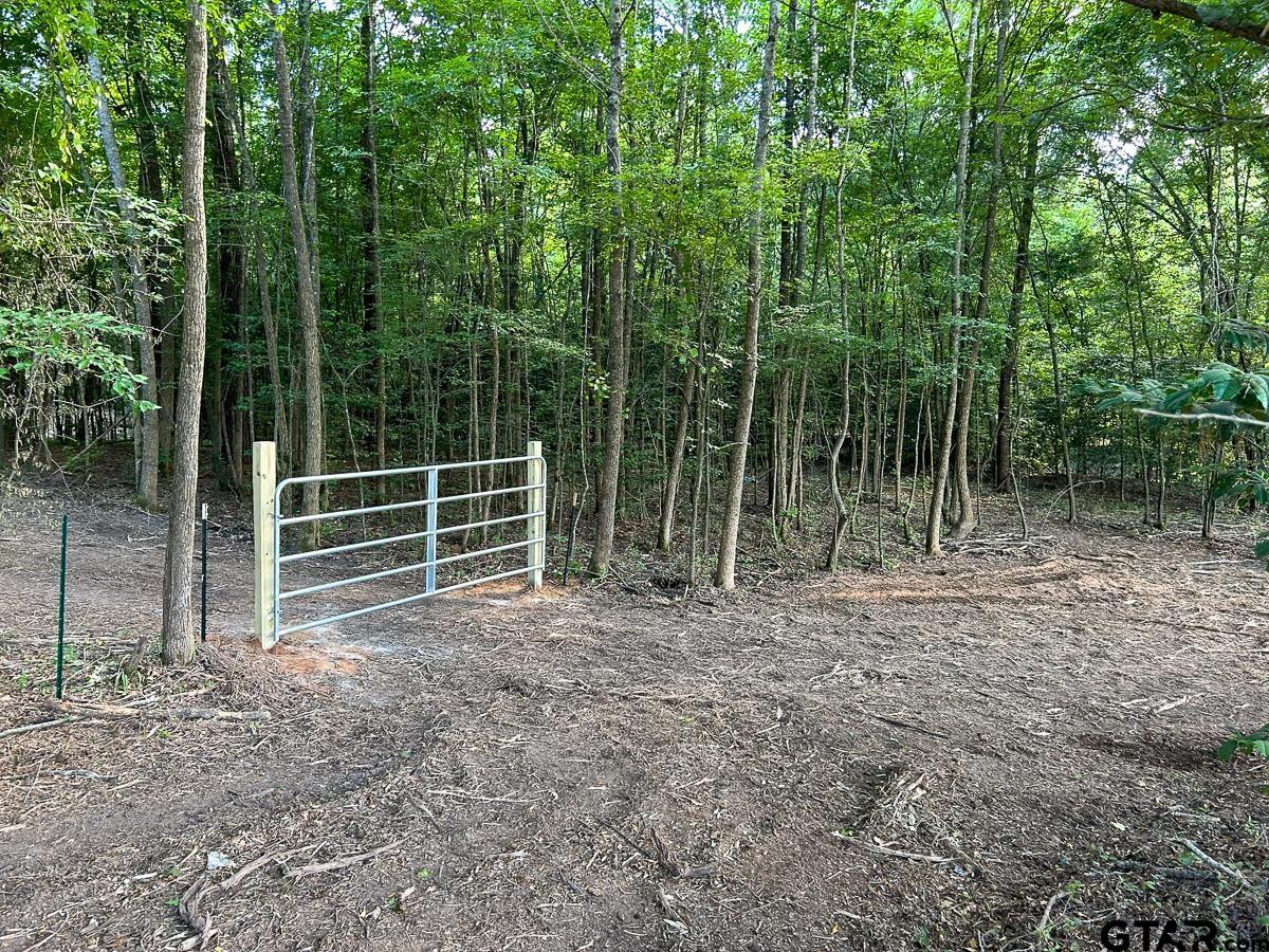 a view of back yard with green space