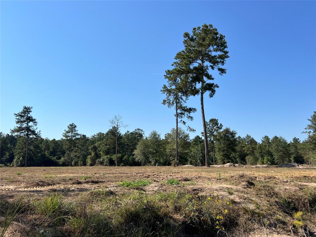 a view of dirt field with trees in the background