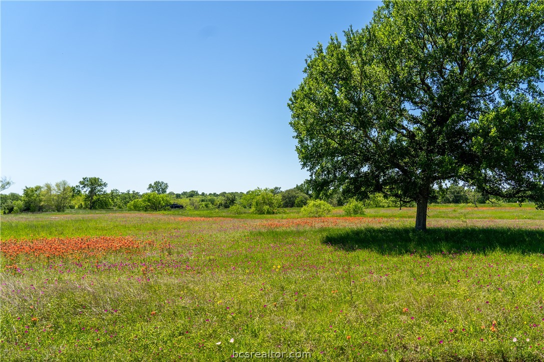 a view of a lake with a big yard