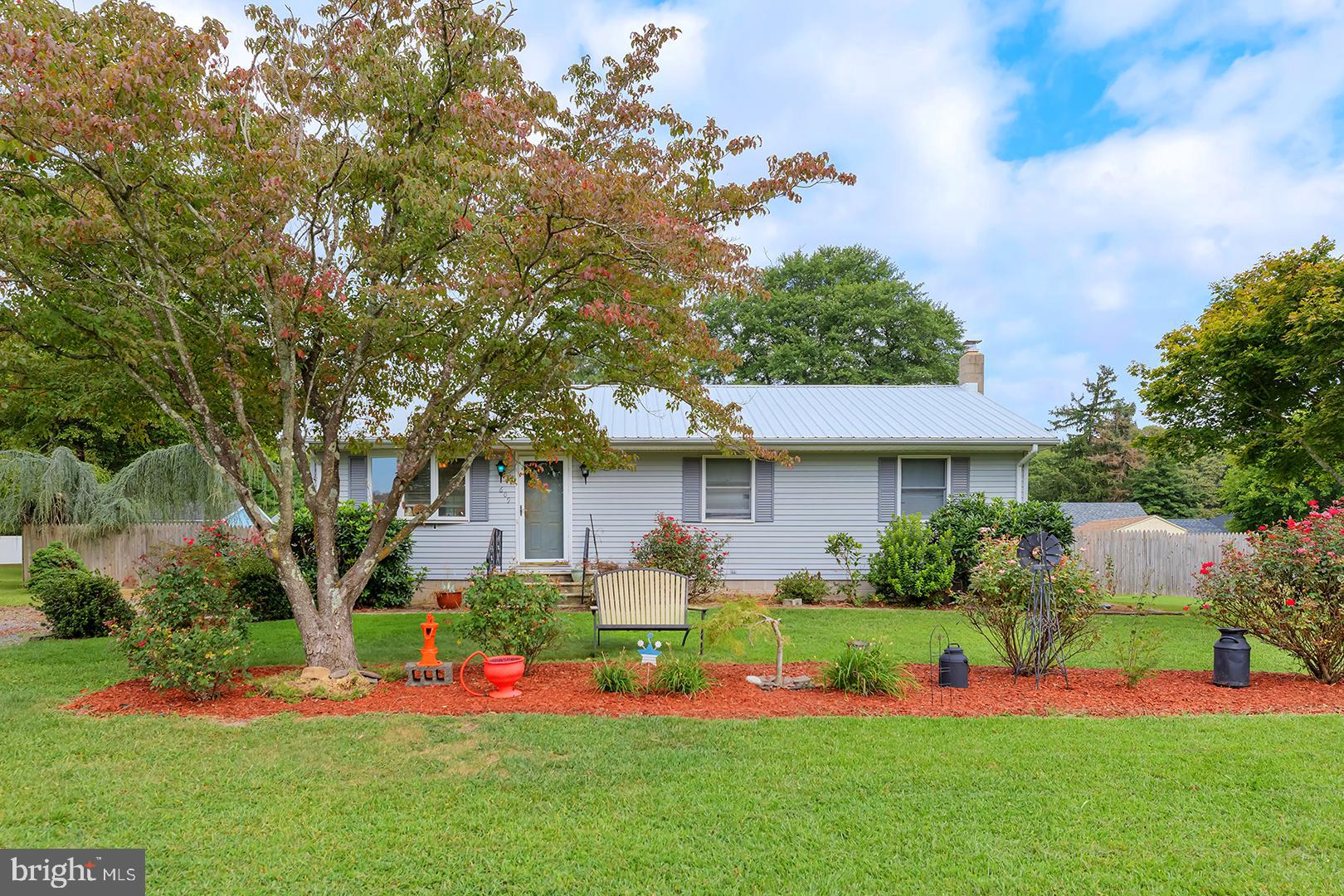 a front view of a house with a big yard and a large tree