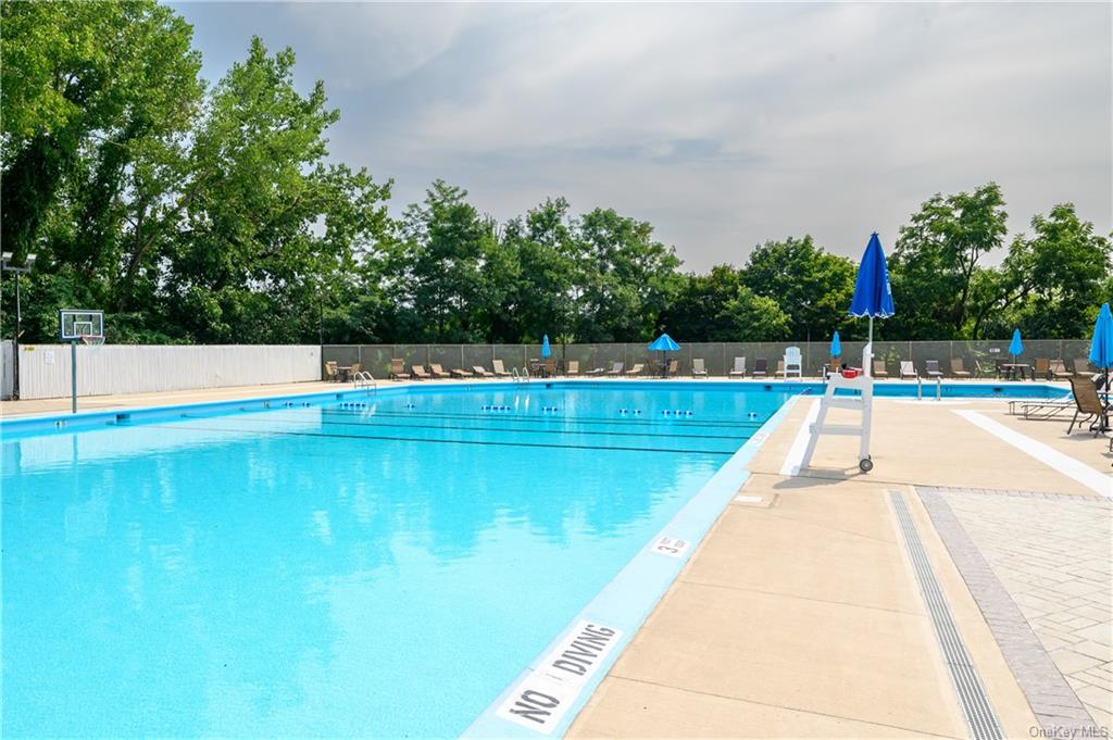 a view of swimming pool with seating area and trees in the background