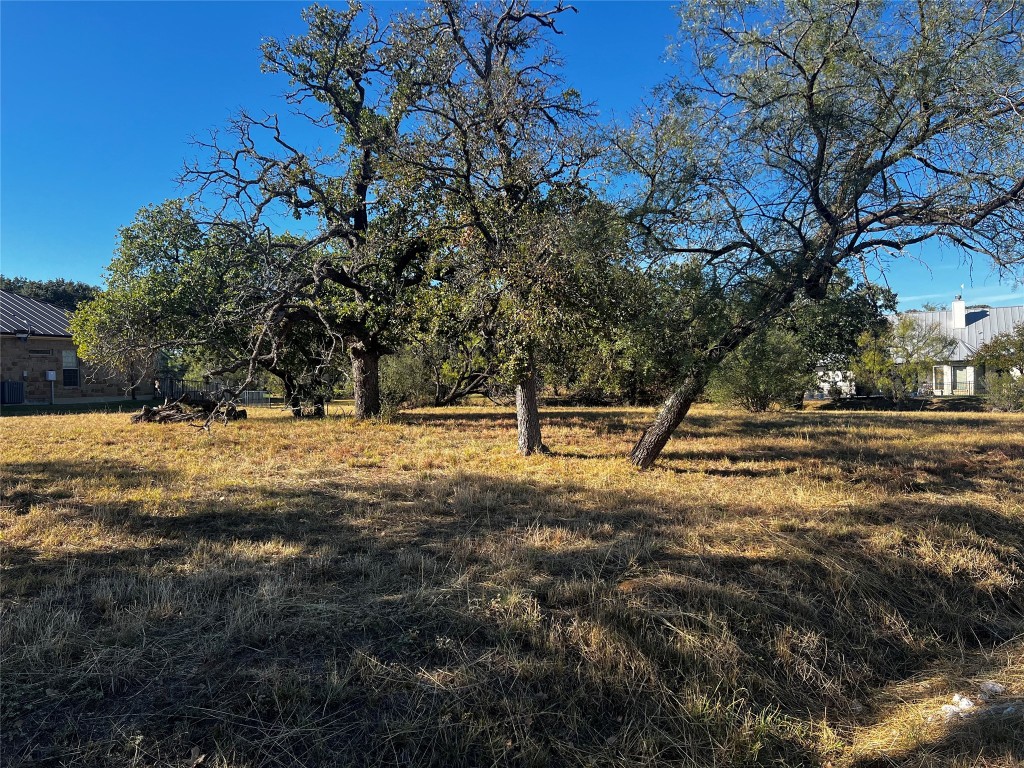 a view of outdoor space with trees