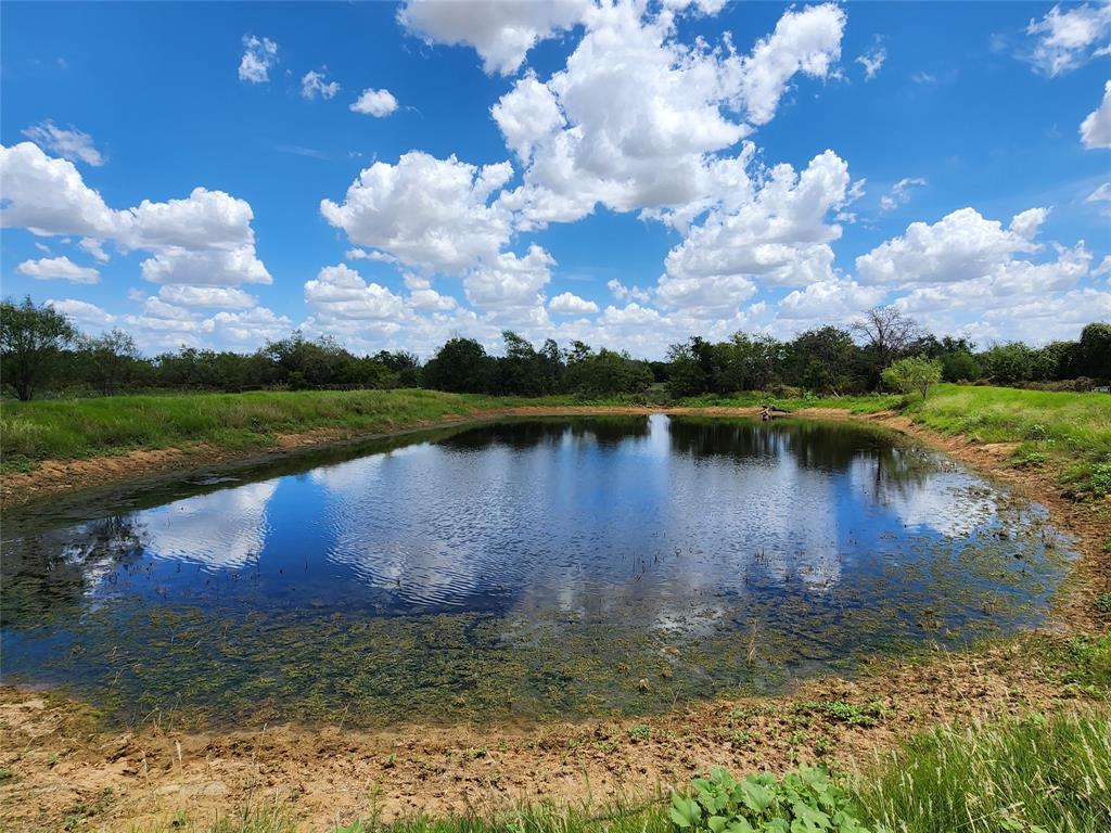 a view of a lake in middle of the forest