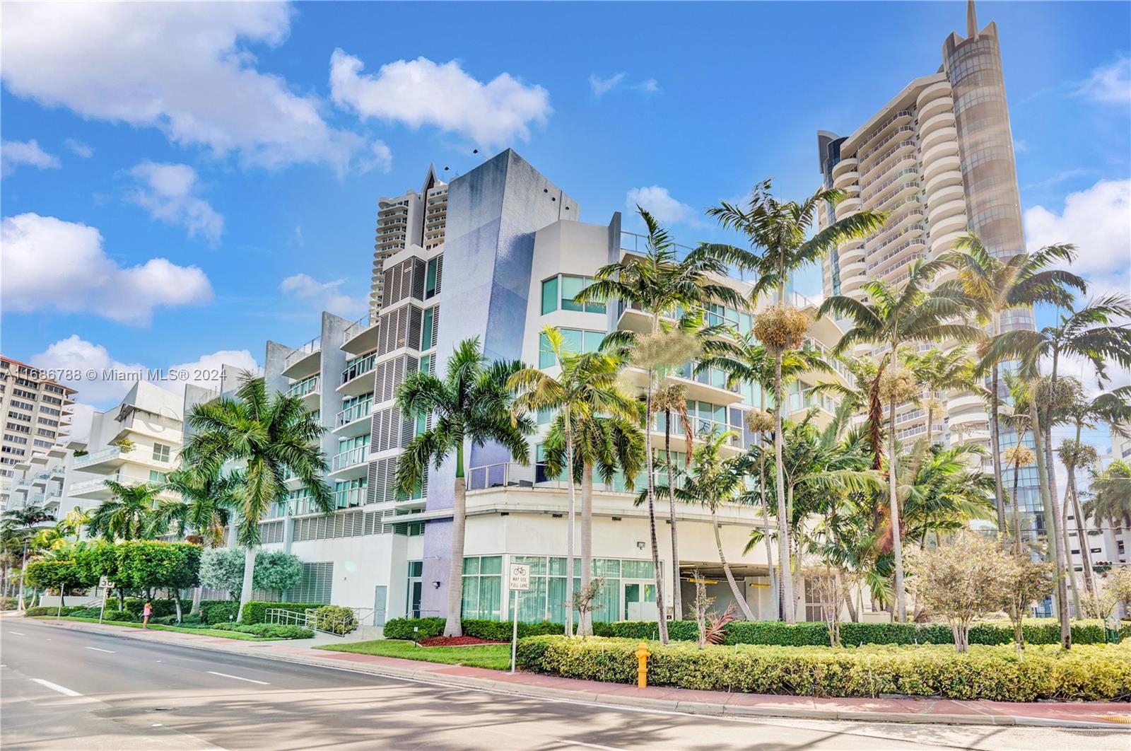 a view of a palm trees and a building in the background