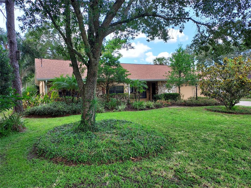 a view of a house with yard and a tree