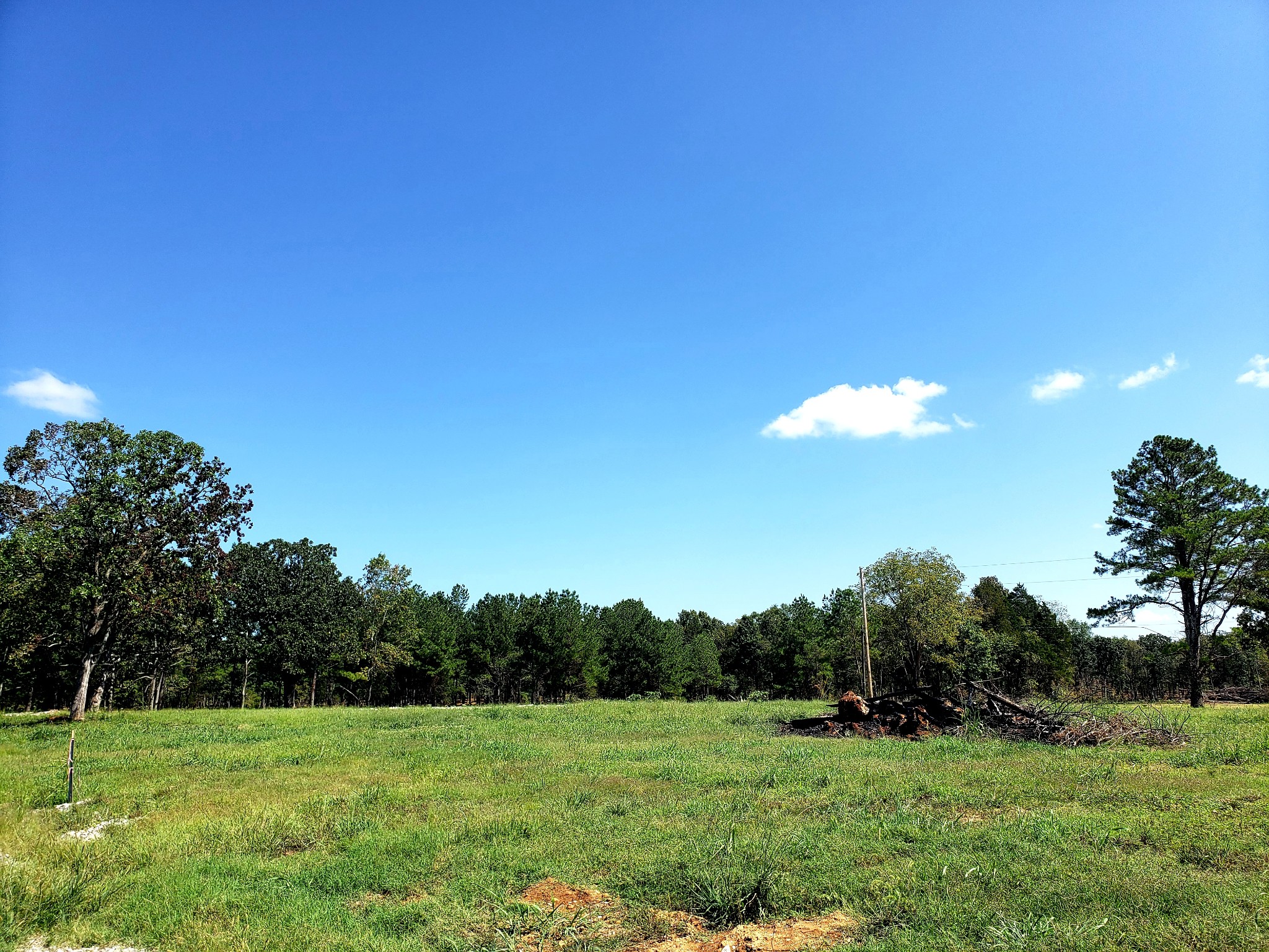 a view of grassy field with trees