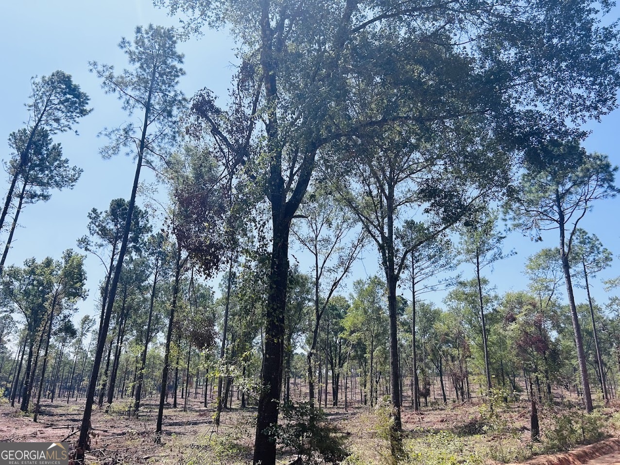 a view of outdoor space with lots of trees