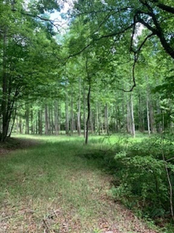 a view of a yard with a tree