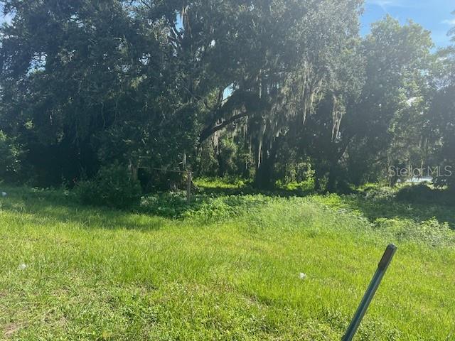 a view of backyard with green space