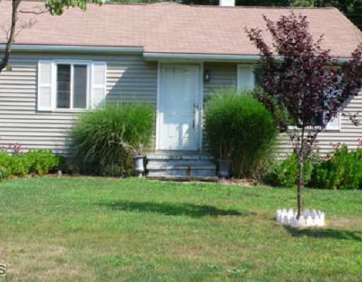 a view of a house with a yard and plants