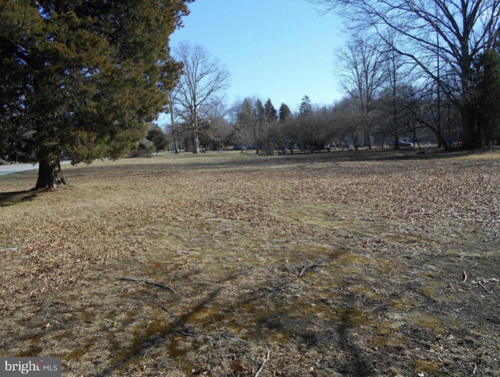 a view of a field with trees