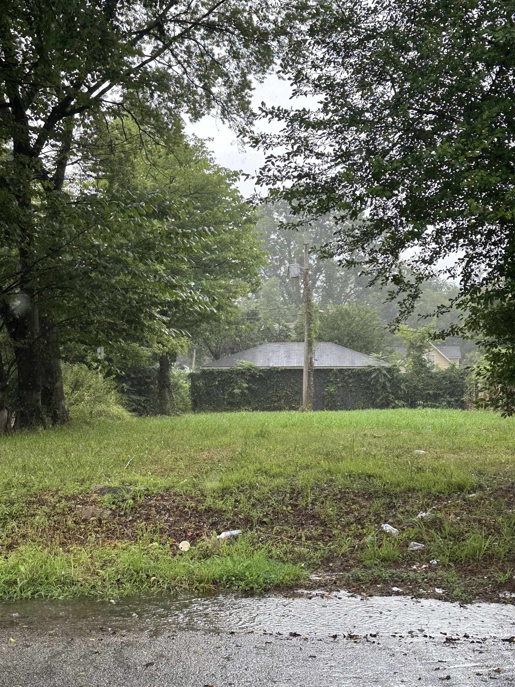 a view of a field of grass and trees