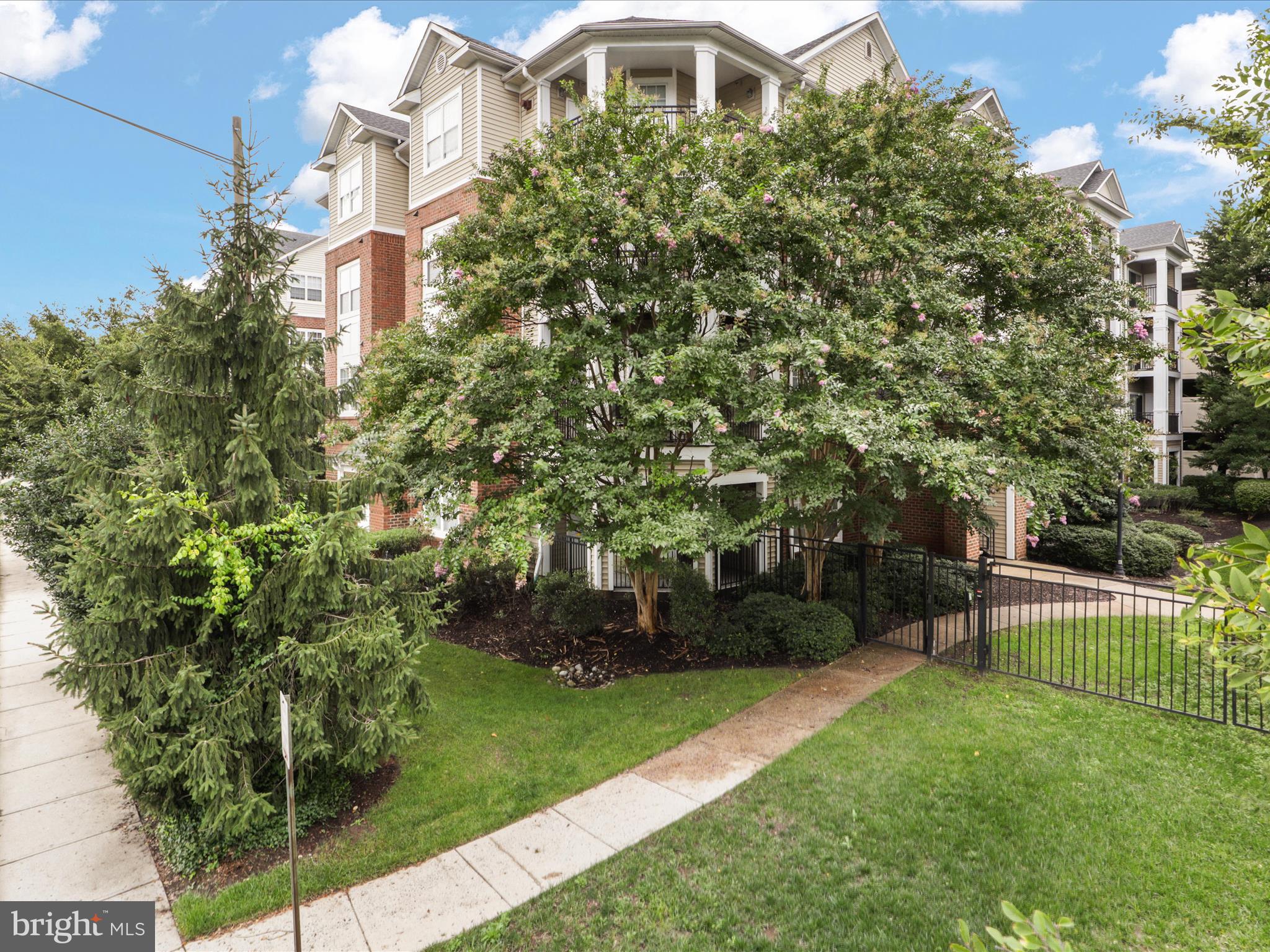 a view of a yard in front of house