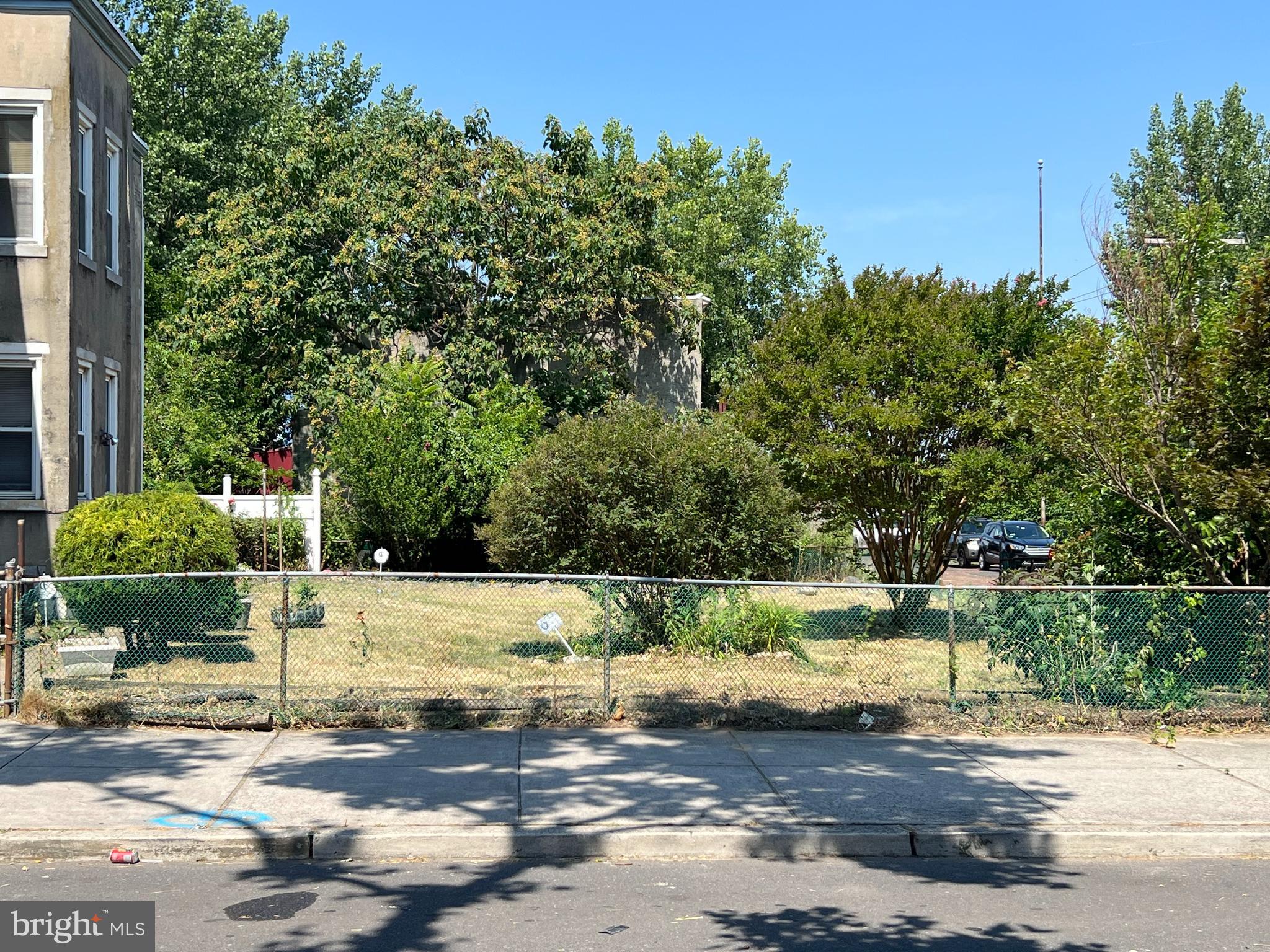 a view of a street with a large tree