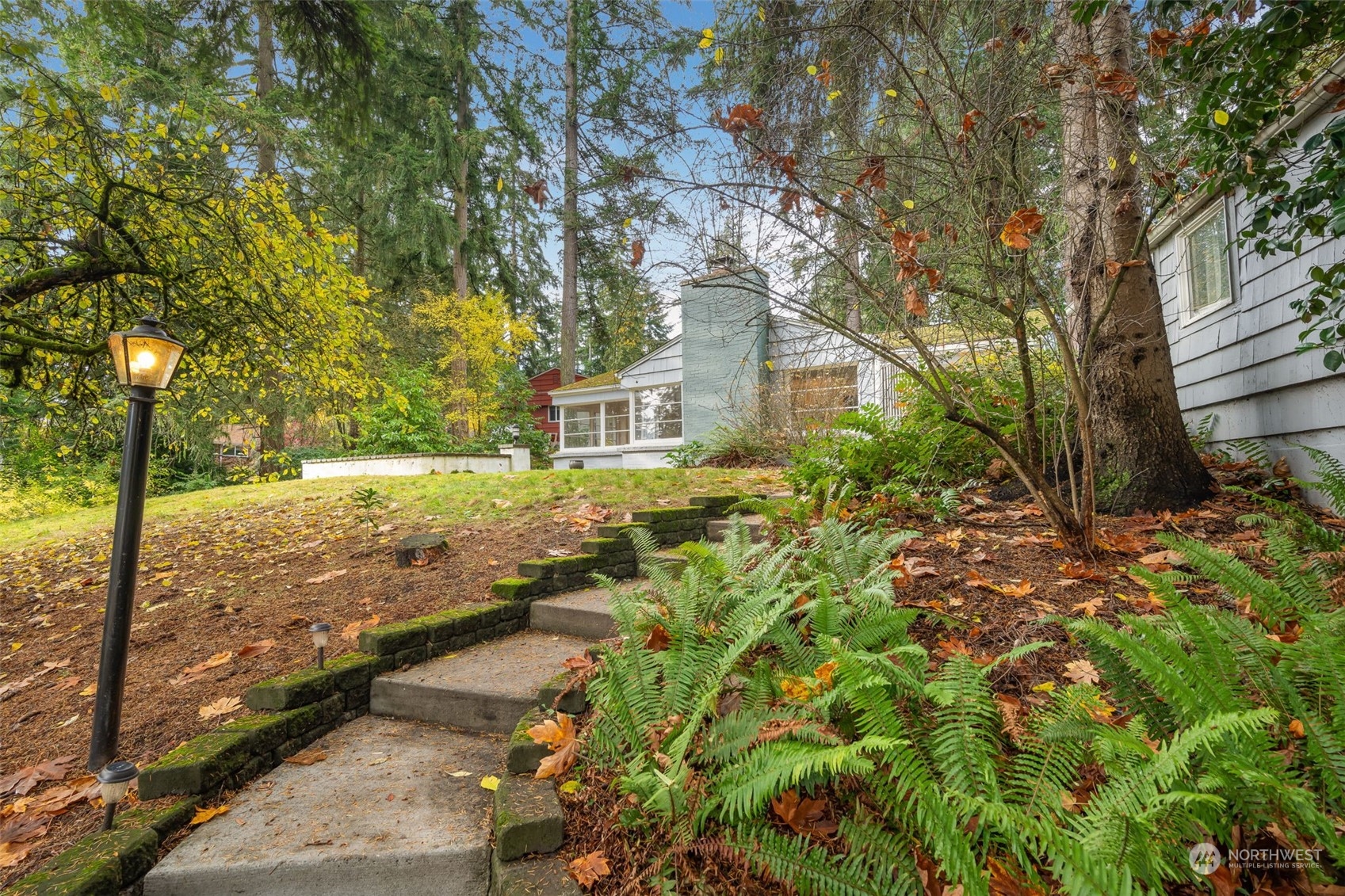 a view of a yard with plants and large trees