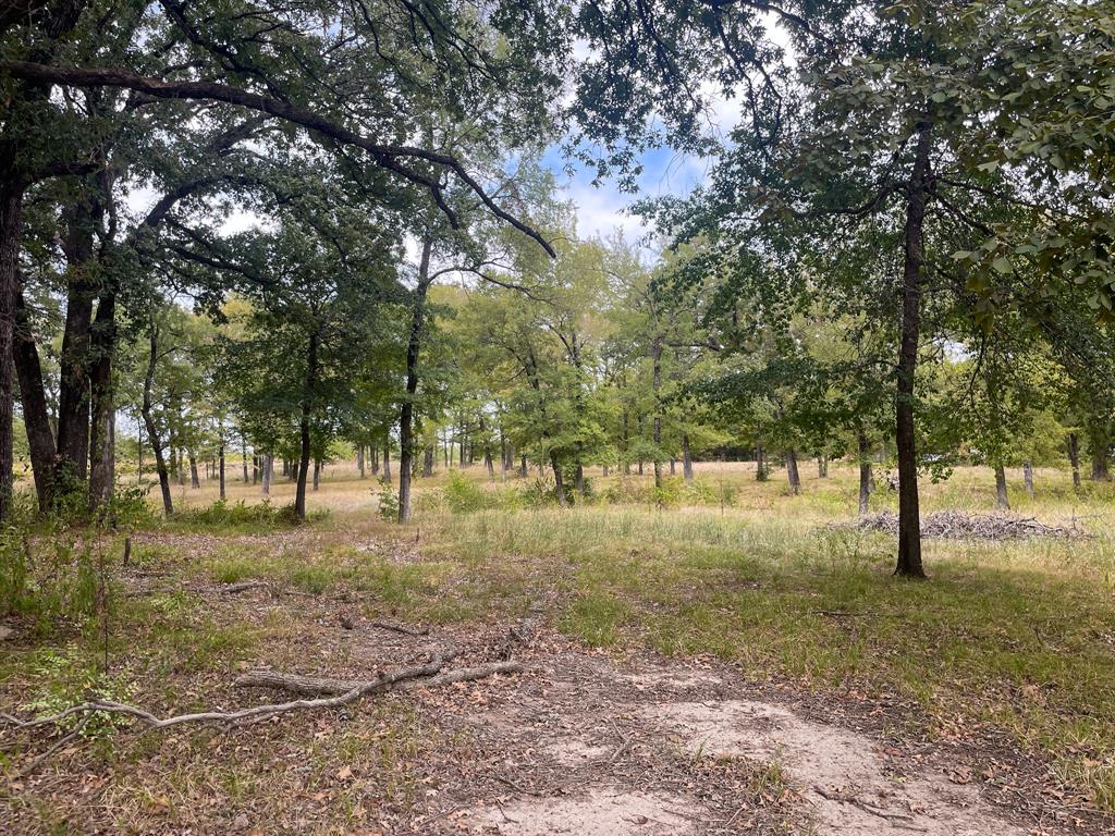 a view of open space with tree s