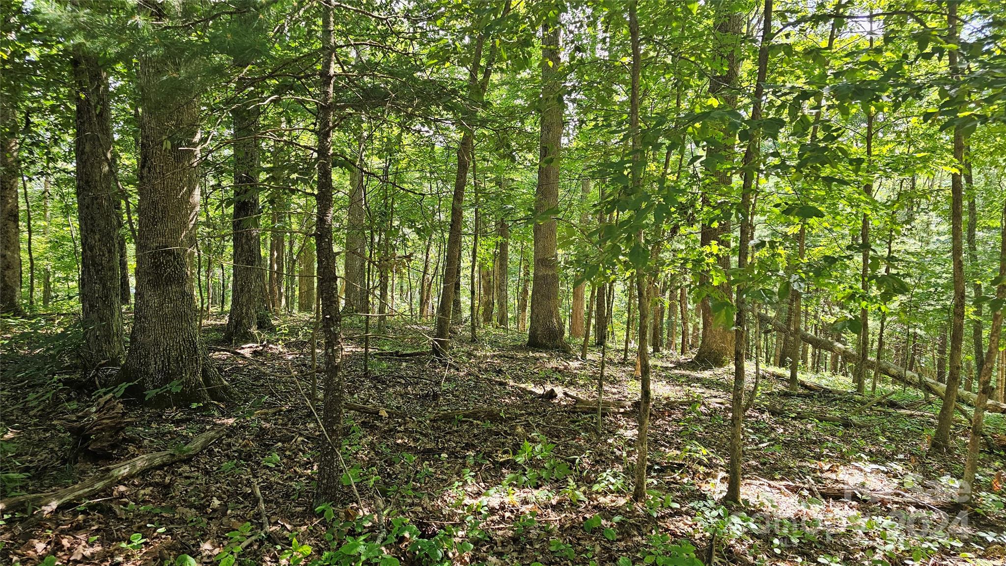 a view of outdoor space and trees