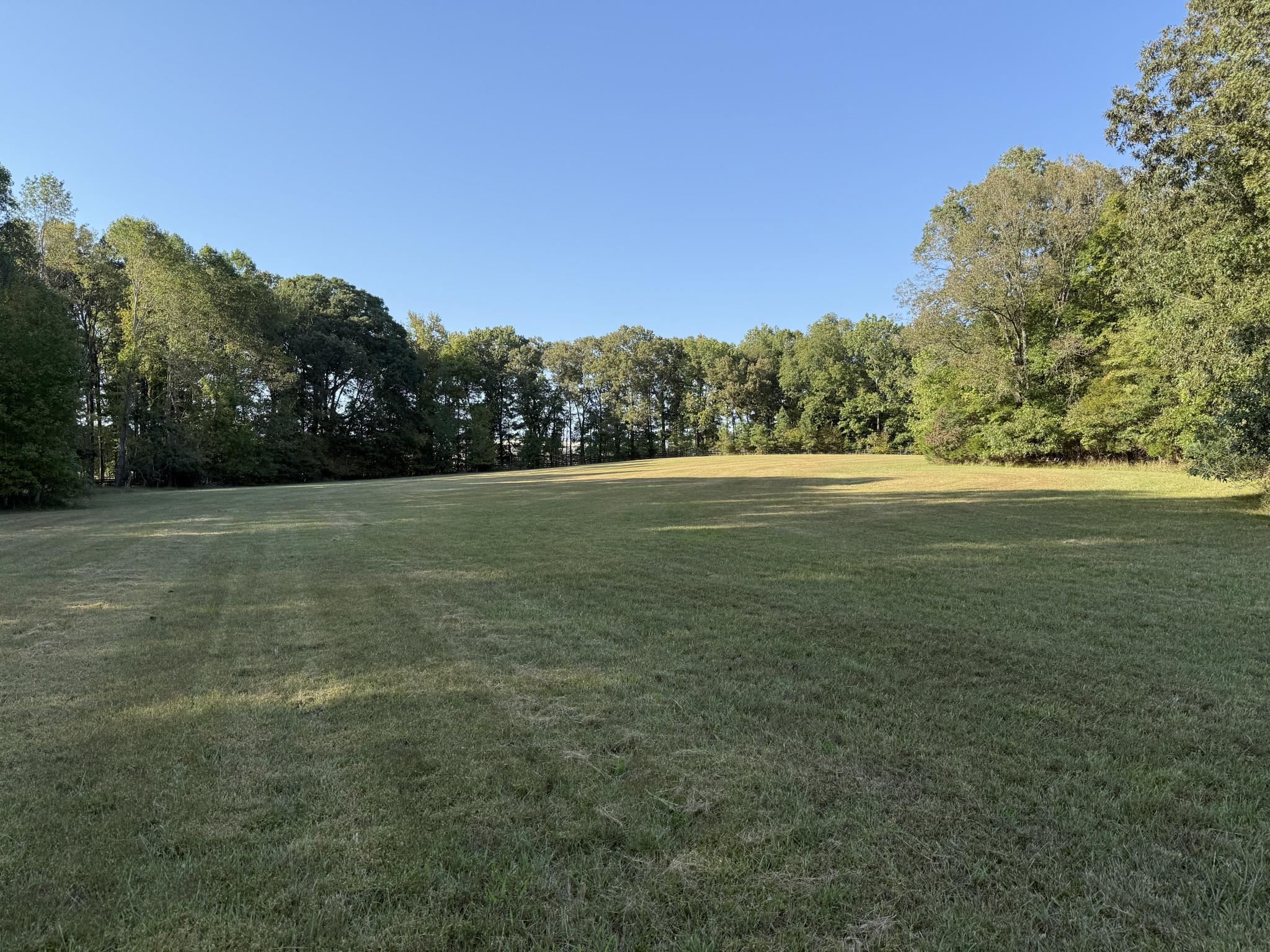 a view of a field with an ocean