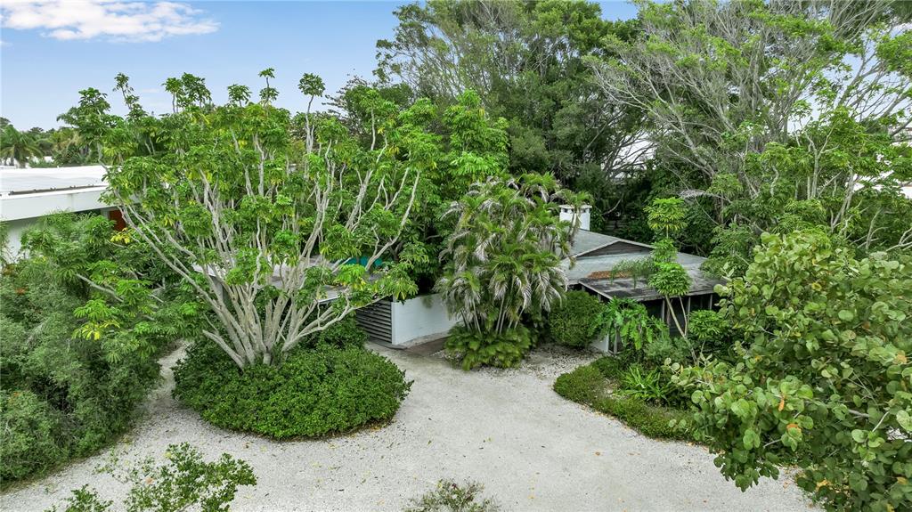 a view of a garden with plants