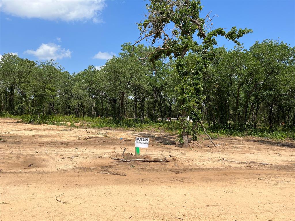 a view of a yard with a tree