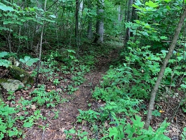 $200,000 | Tbd Whitewater Cove Road | Montreat Village