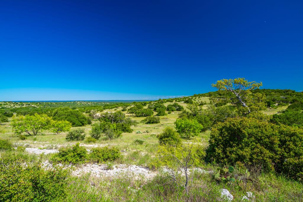 a view of a large yard