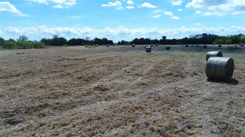 a view of a dry yard with wooden fence