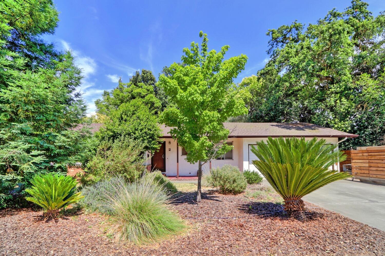 a view of a backyard with a garden