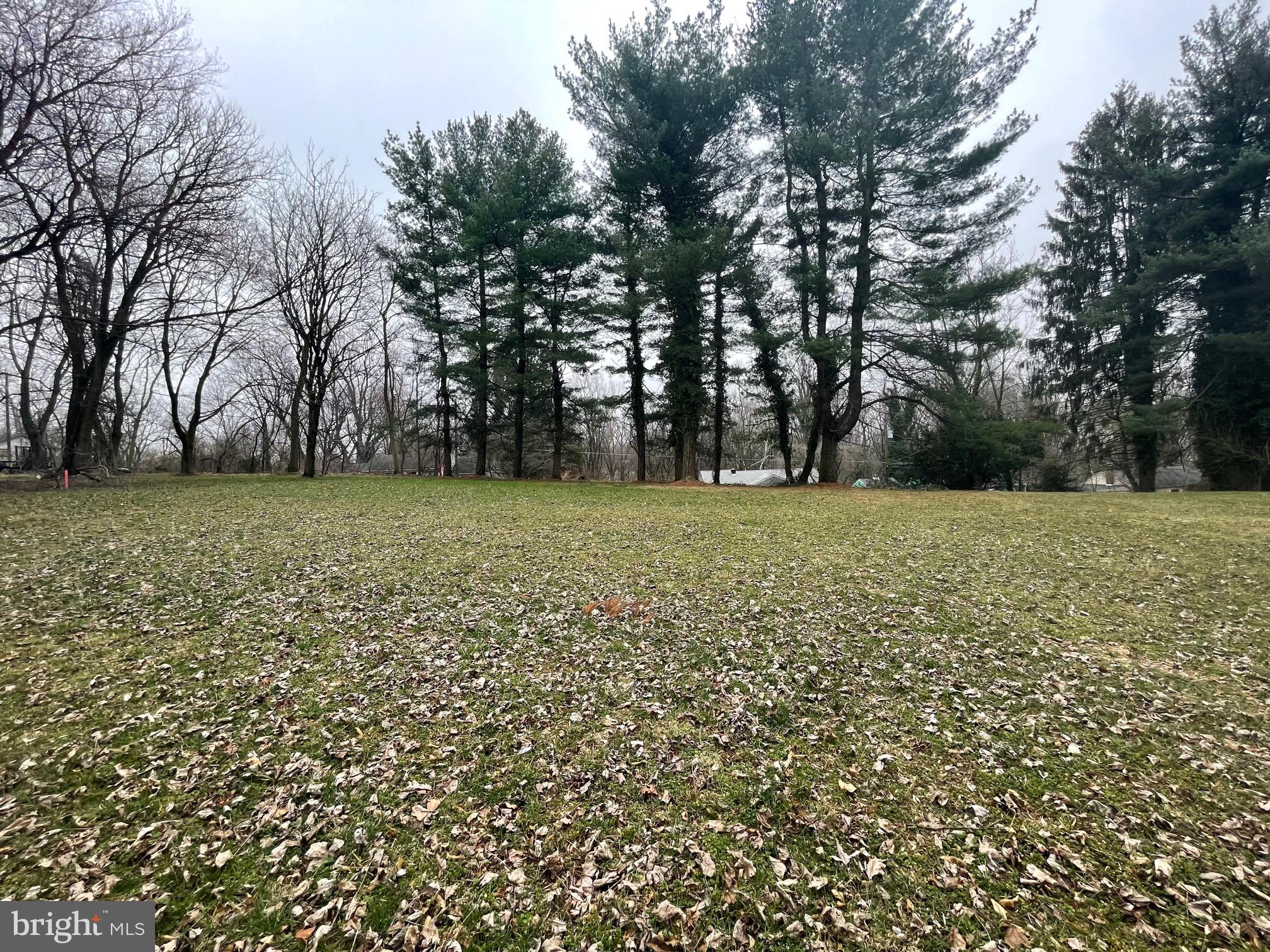 a view of a green field with trees in the background