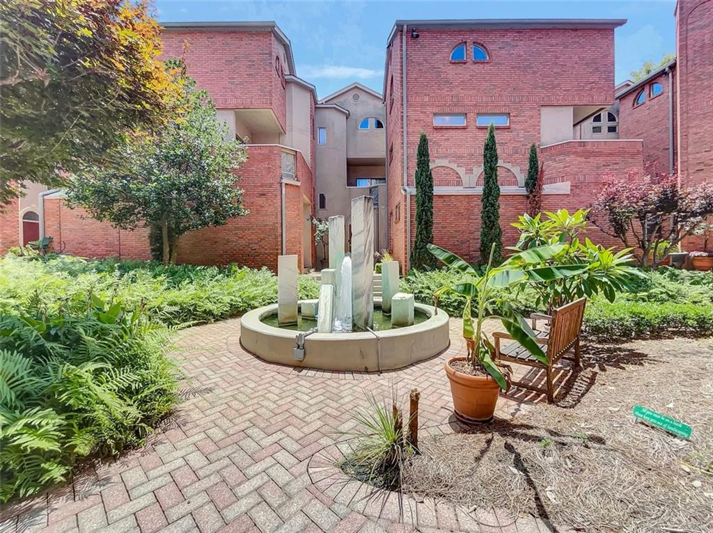 a view of a garden with plants