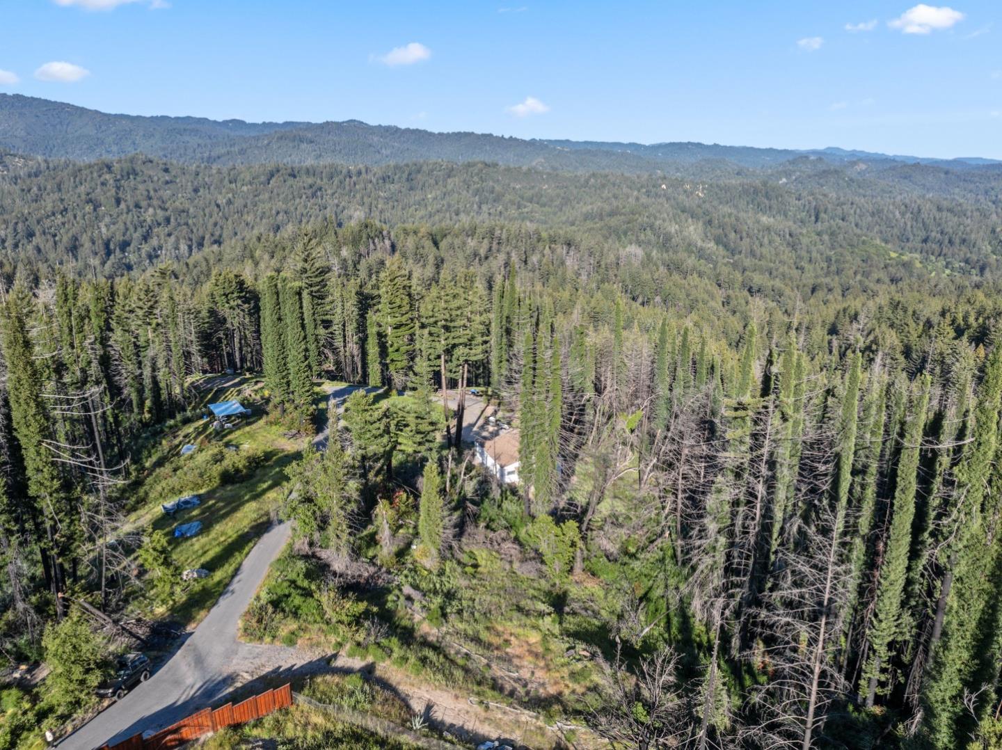 a view of a lush green forest with lush green forest