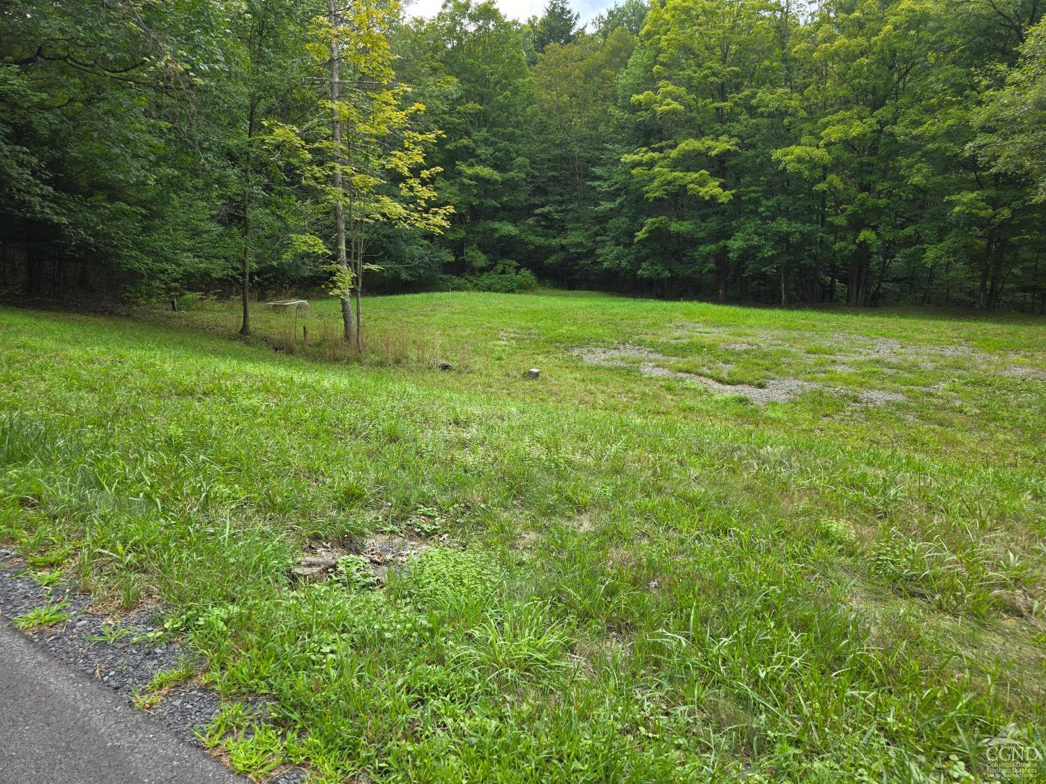 a view of a green yard