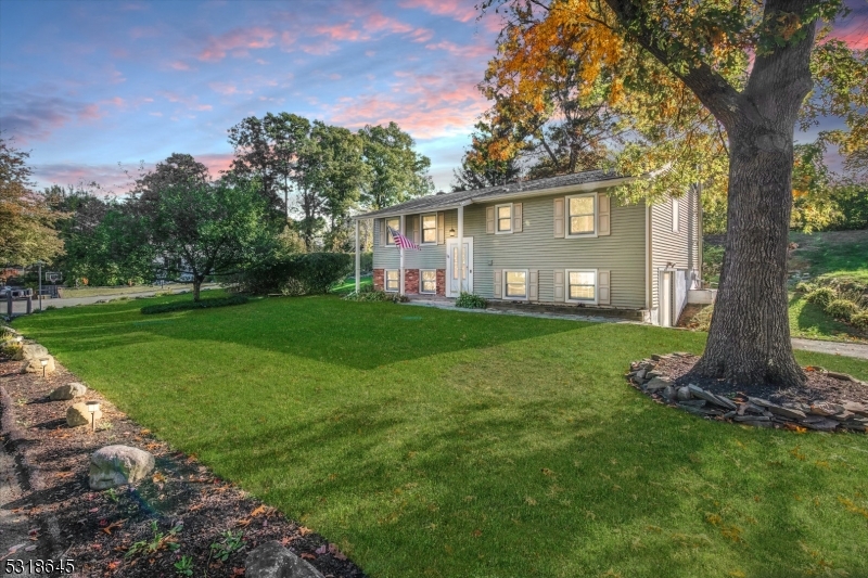 a view of a backyard with a large tree