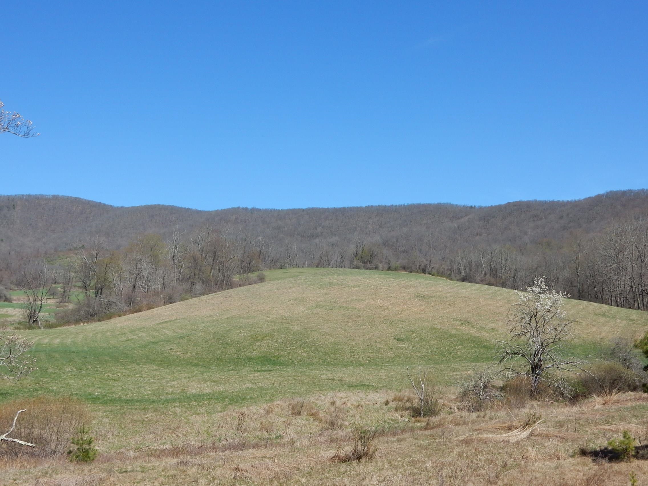 a view of a dry yard with mountain