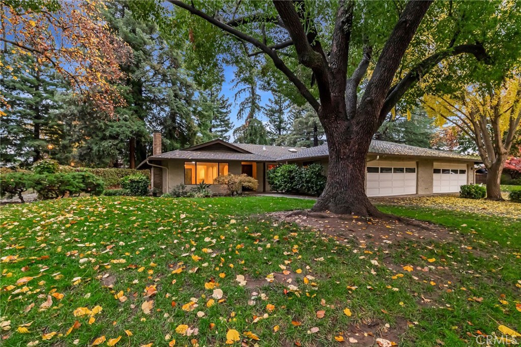 a front view of a house with a tree