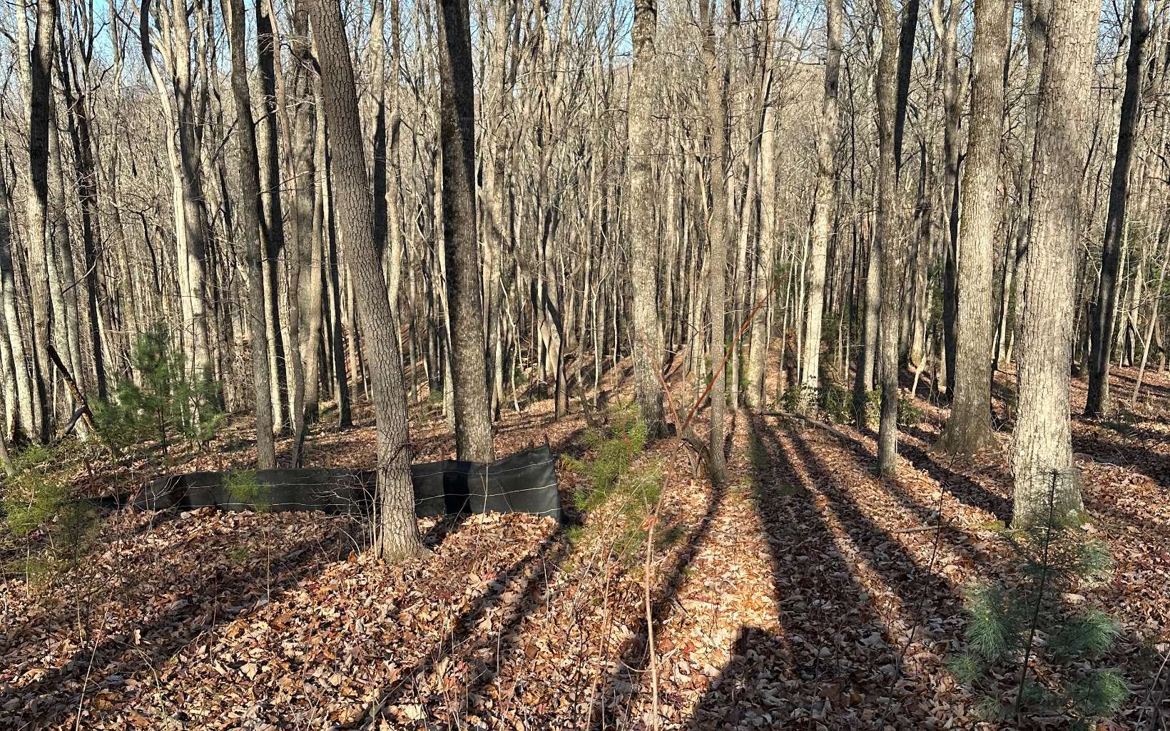 a view of a backyard of the house