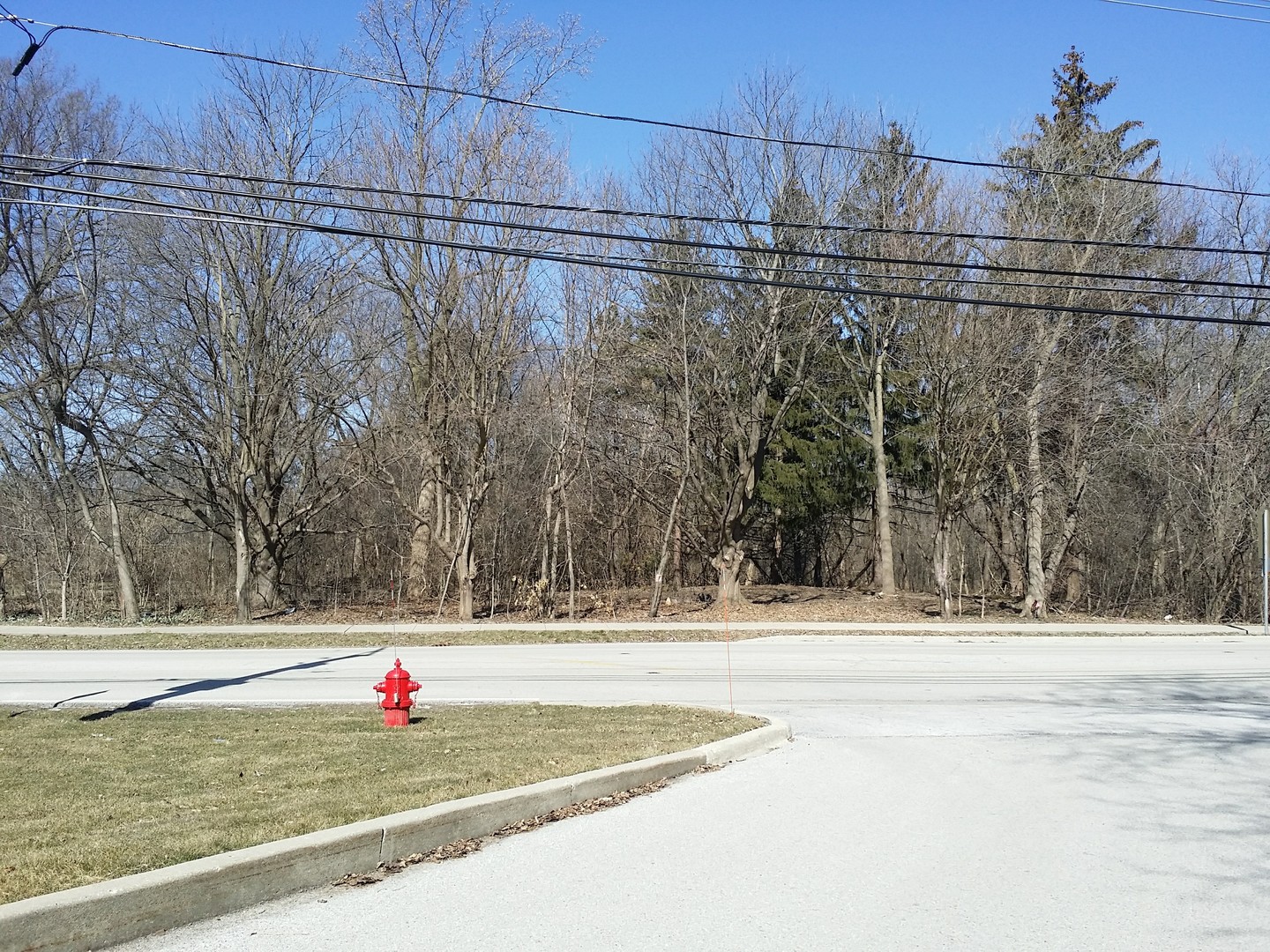 a view of a yard with a swimming pool