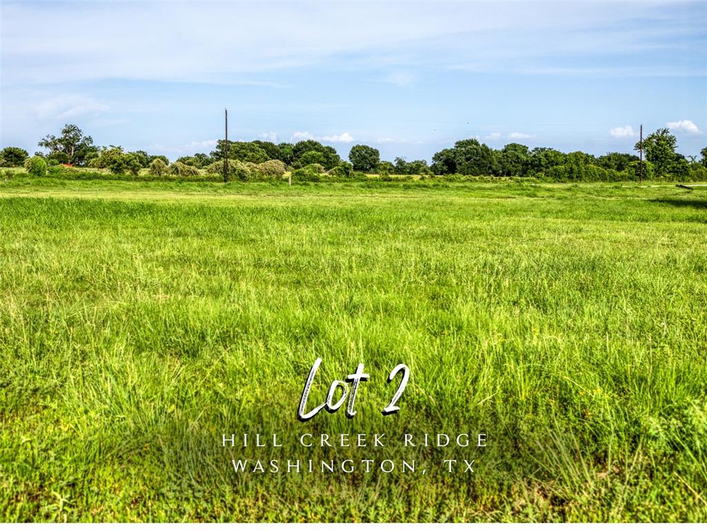 a view of a big yard with lots of green space