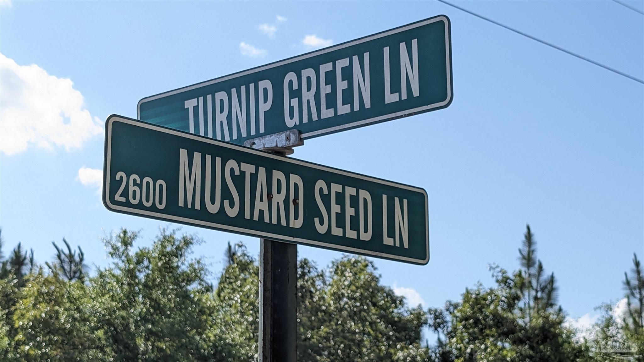 a street sign that is on a pole