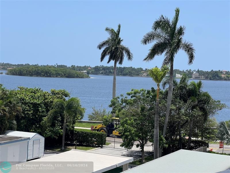 a ocean view with palm trees