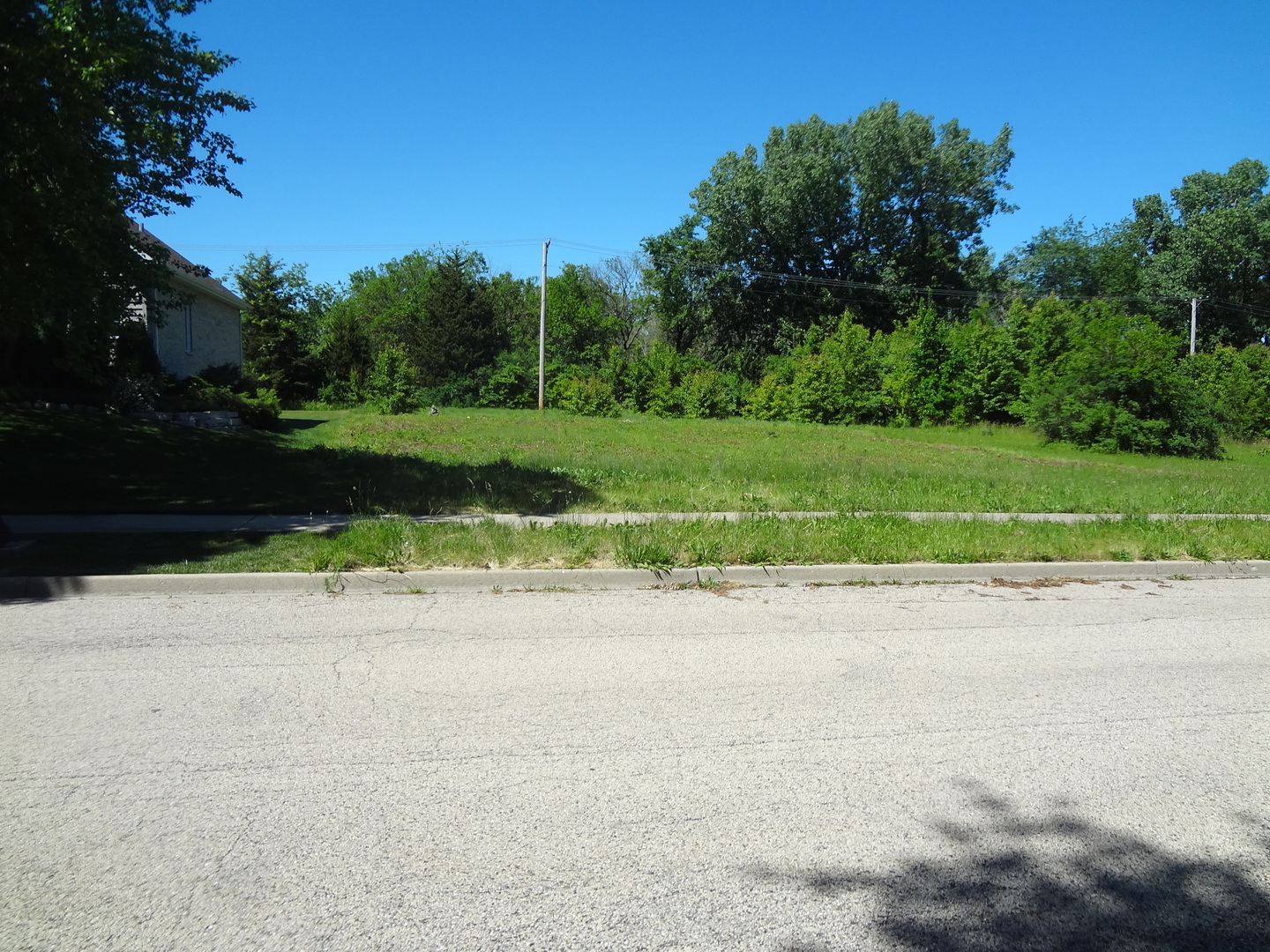 a view of road and trees