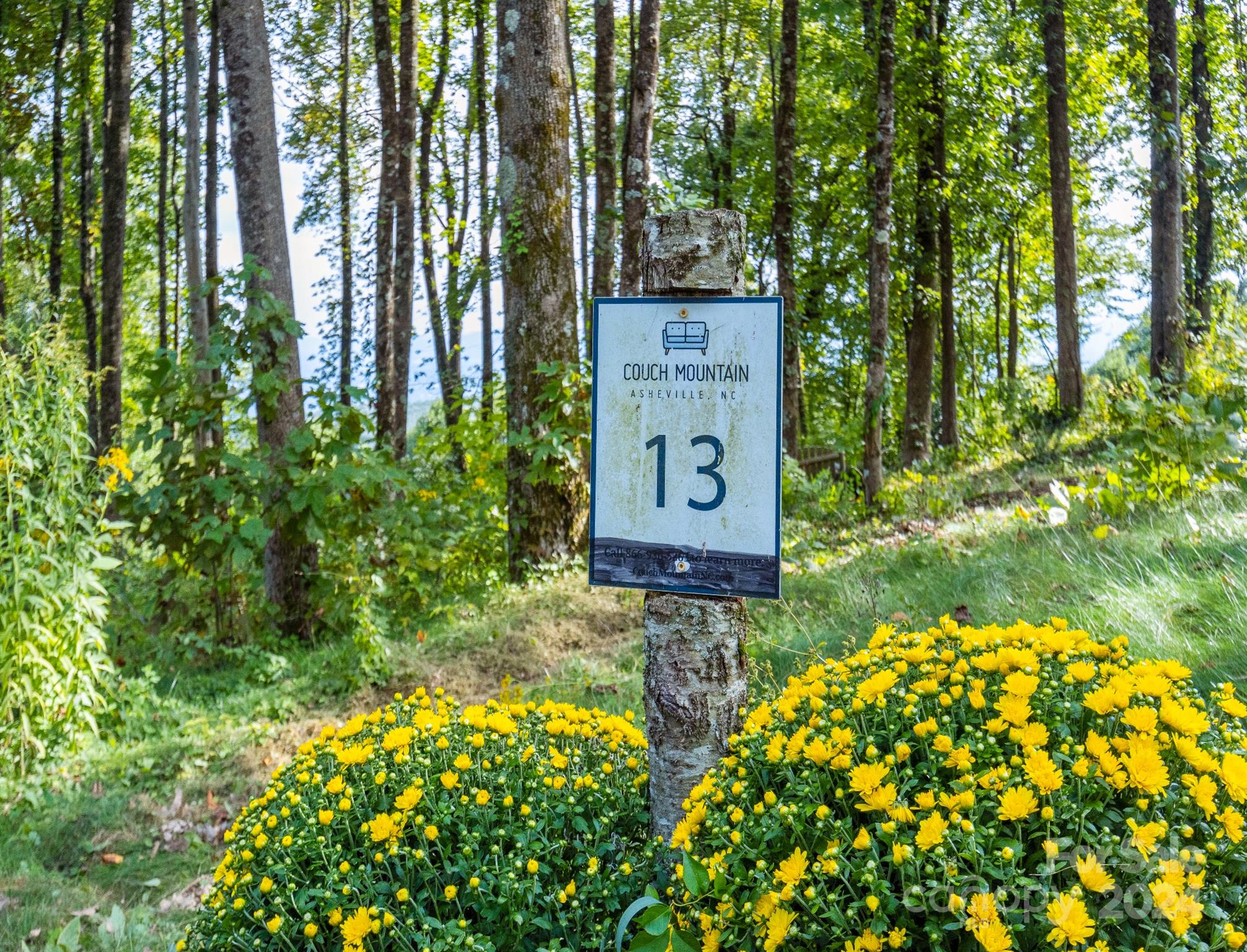 a sign that is sitting in the forest