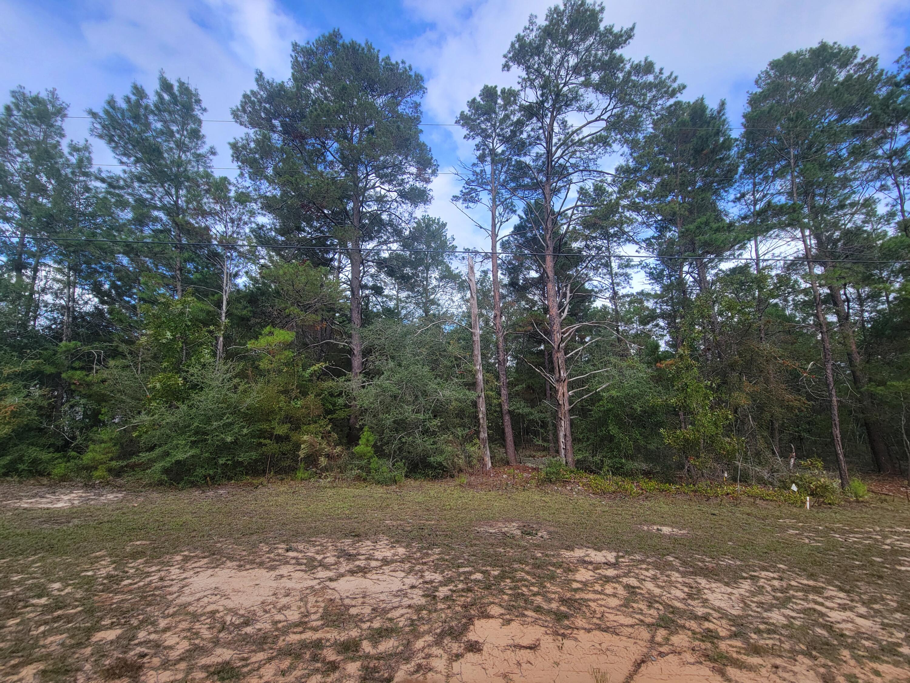 a view of a yard with a tree