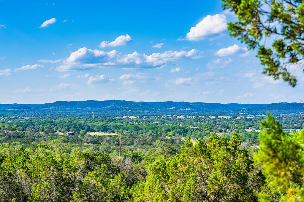 a view of a city with lush green forest