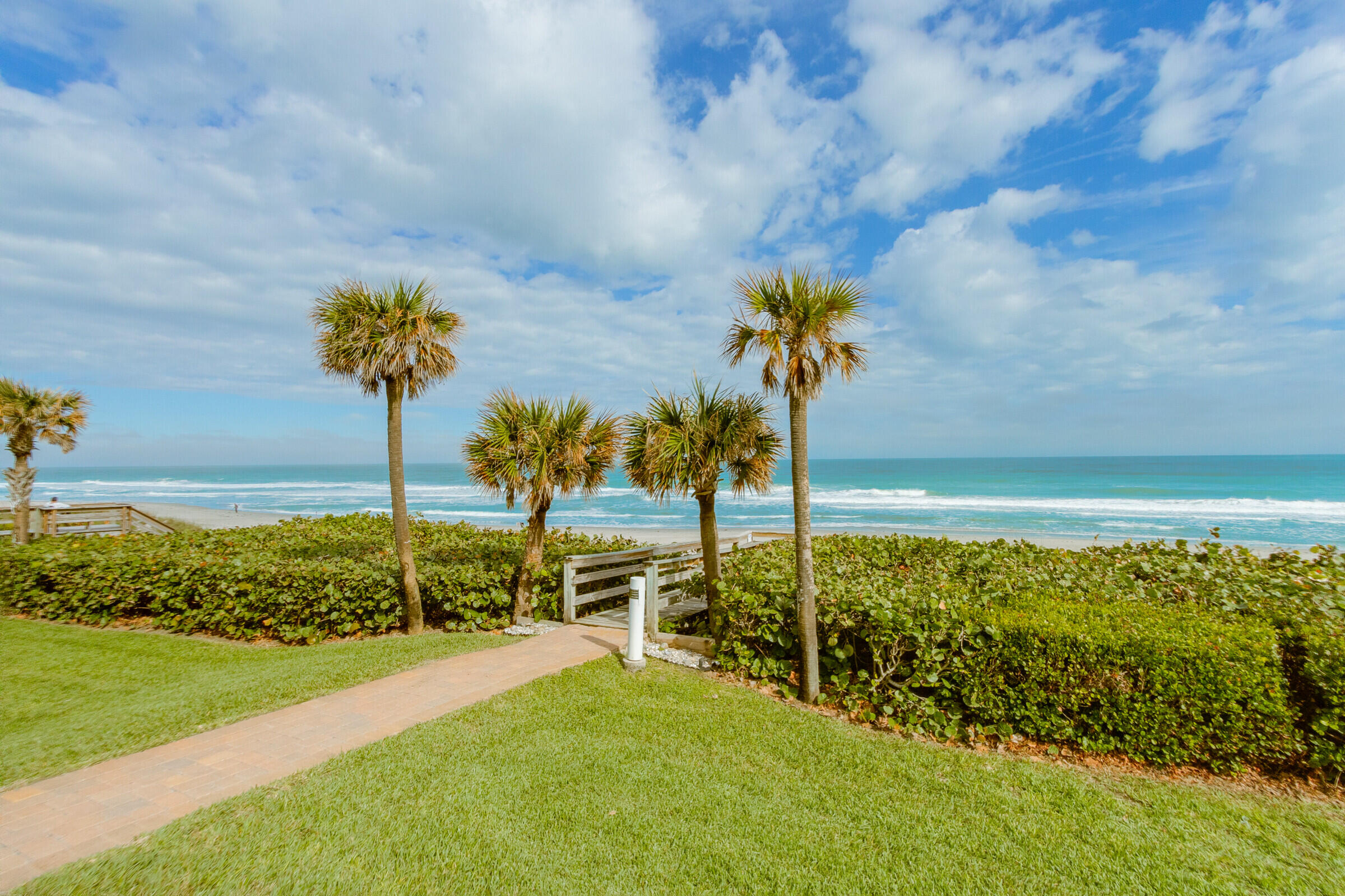 a view of a garden with an ocean view