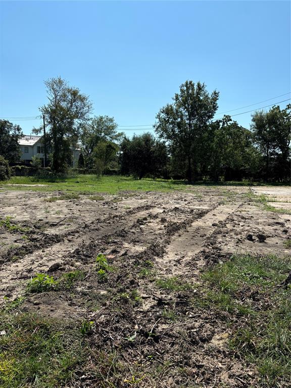 a view of a yard with trees