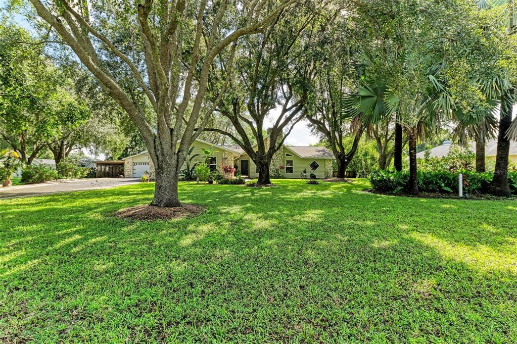 a view of yard with trees