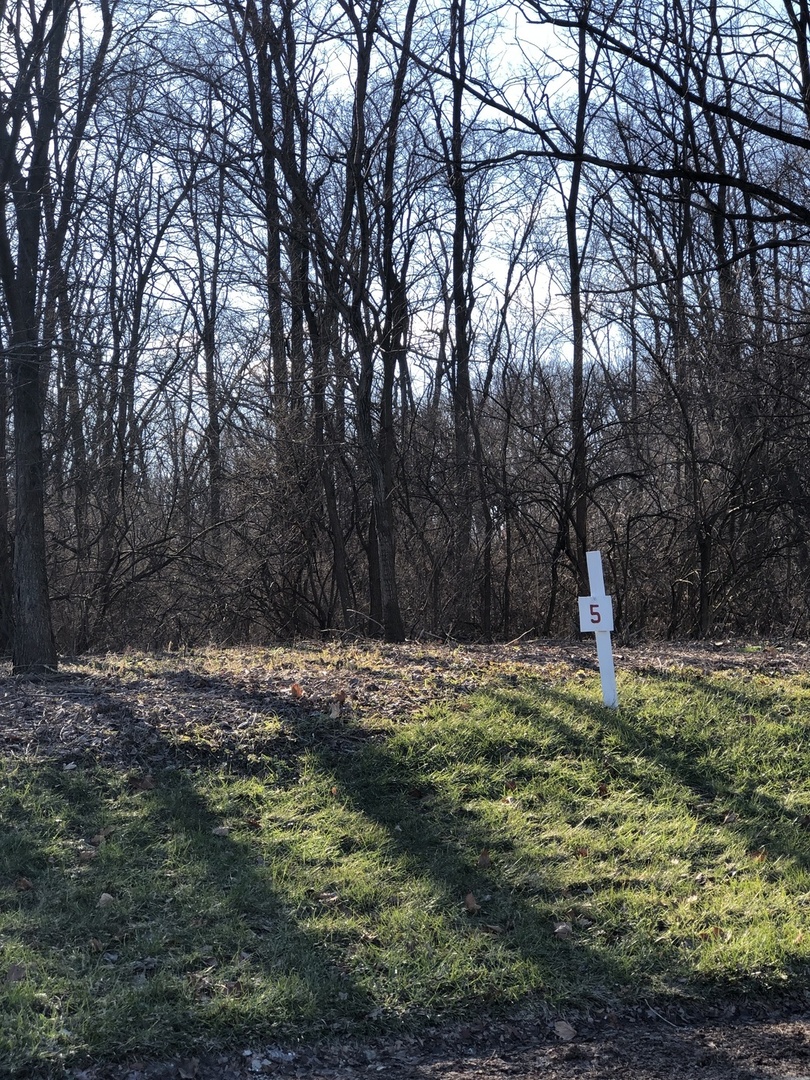 a fire hydrant in the middle of a field