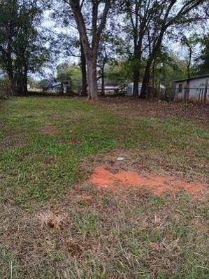 a view of a yard with a tree